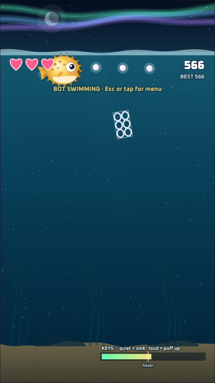 Puff collecting pearls at the surface under the northern lights